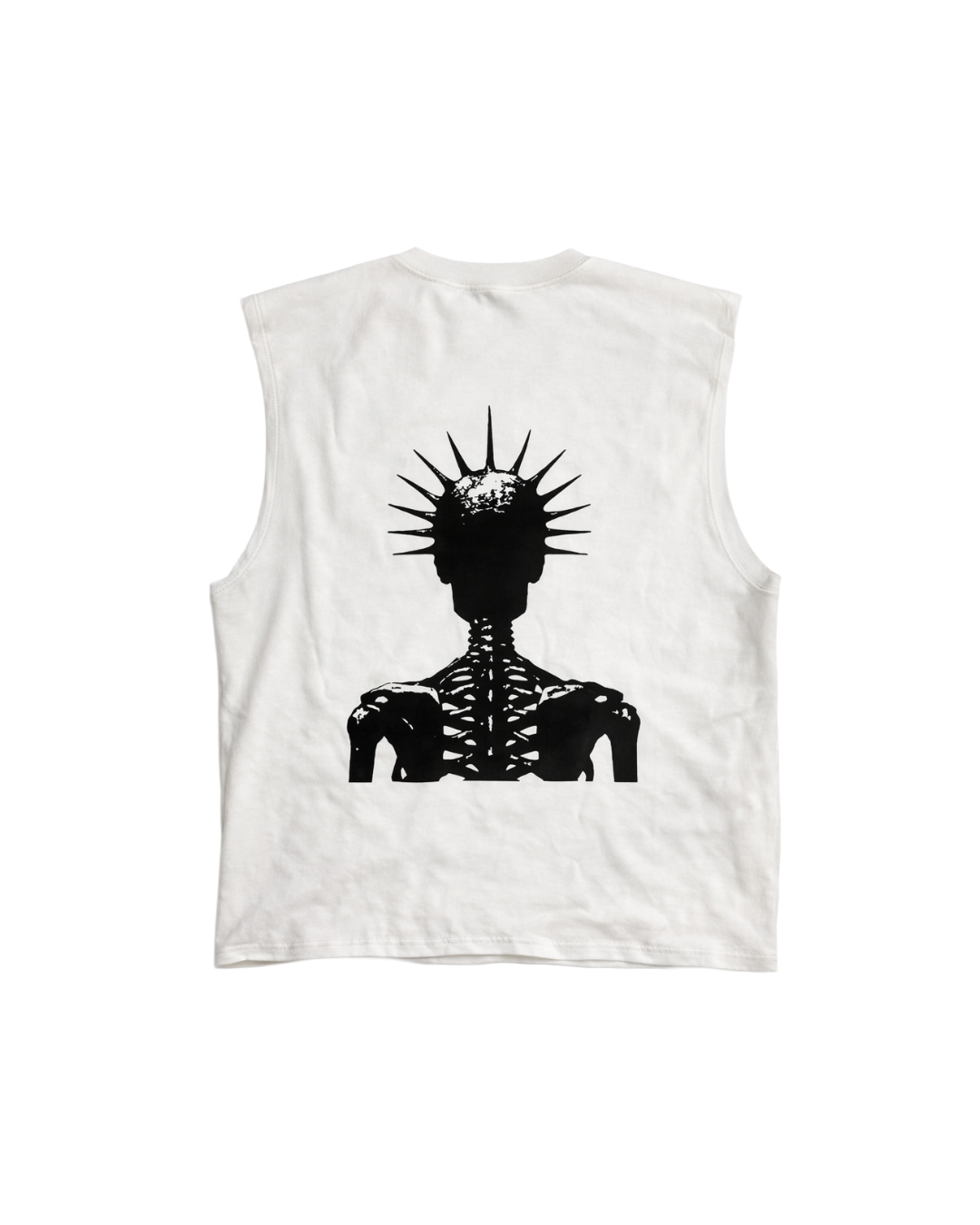 MUSCLE ESQUELETO AKROSS